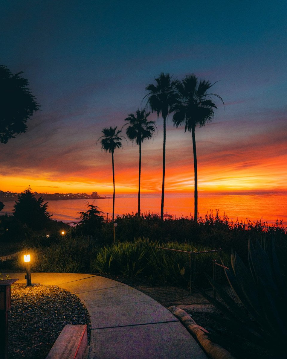 Michaellniz's tweet photo. Saw this spot at La Jolla, and wow, the colors are unreal. Those palm trees really know how to frame a sunset, don't they?

#sunset https://t.co/BIxewCxQfj