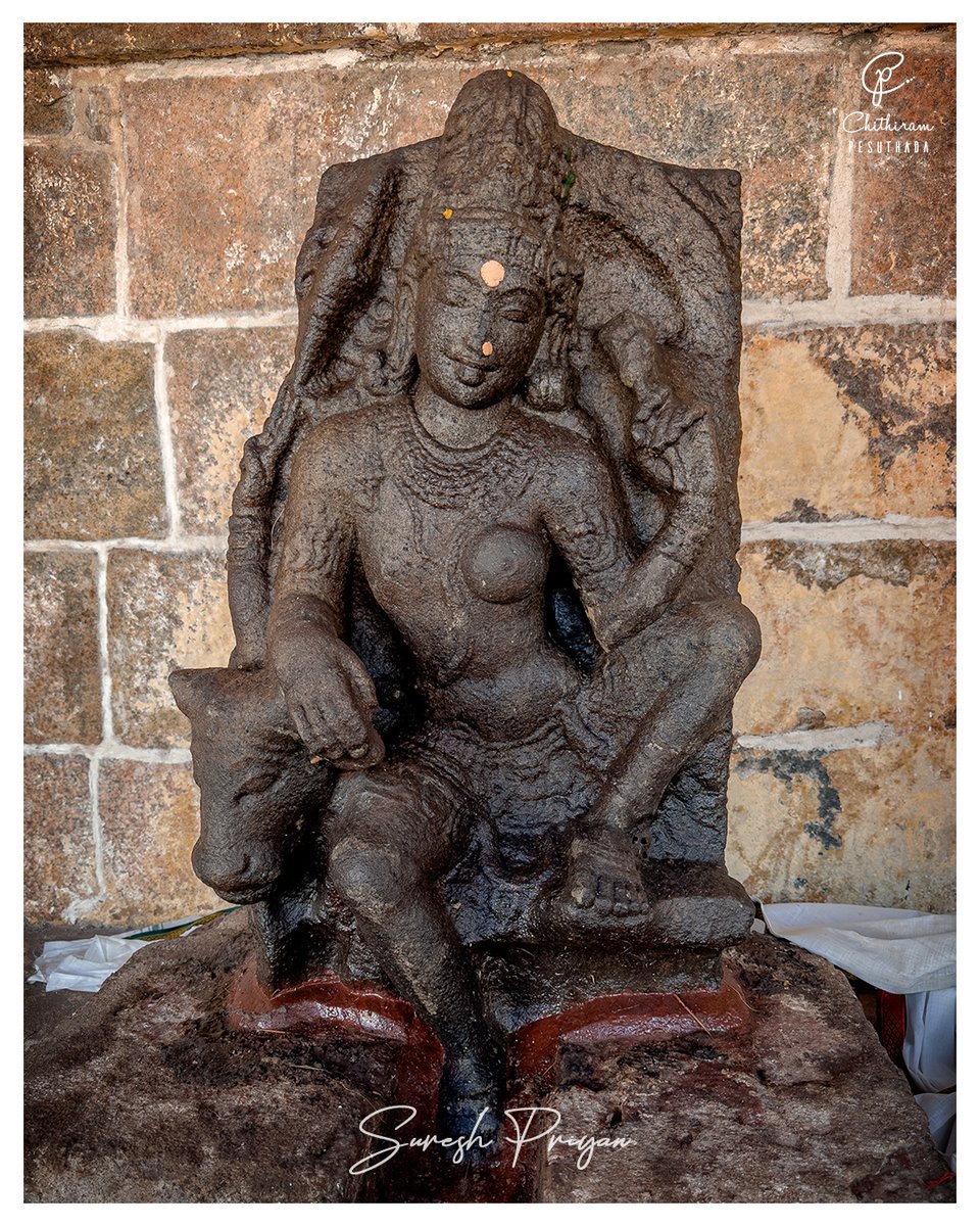 ChithiramPesu's tweet photo. A Rare Chola Masterwork — Ardhanareeswarar in Utkutikāsana
At Thirukkandiyur, a rare seated Ardhanareeswarar in Utkutikāsana — a striking Chola-period creation.
Why does Shiva have two hands, while Uma has one? 🤔
What’s your answer?
 #Ardhanareeswarar #ChithiramPesuthada https://t.co/67HHpUmJ6W
