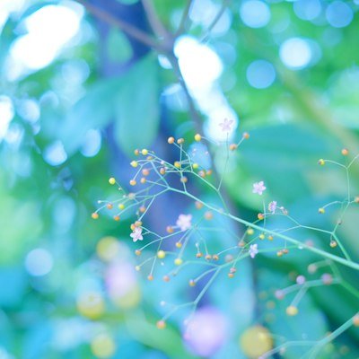 LashinElham's tweet photo. 中学の時ファッション雑誌で見た髪型、今になってやっと似合うようになった気がする。あの時の自分に「待てよ」って言いたい😂 https://t.co/iFhdD49AHZ