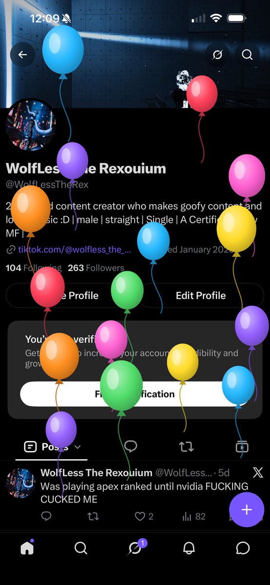 WolfLessTheRex's tweet photo. Well there goes the ballon’s. I’m 22 years old now https://t.co/5MyxzKZ08p