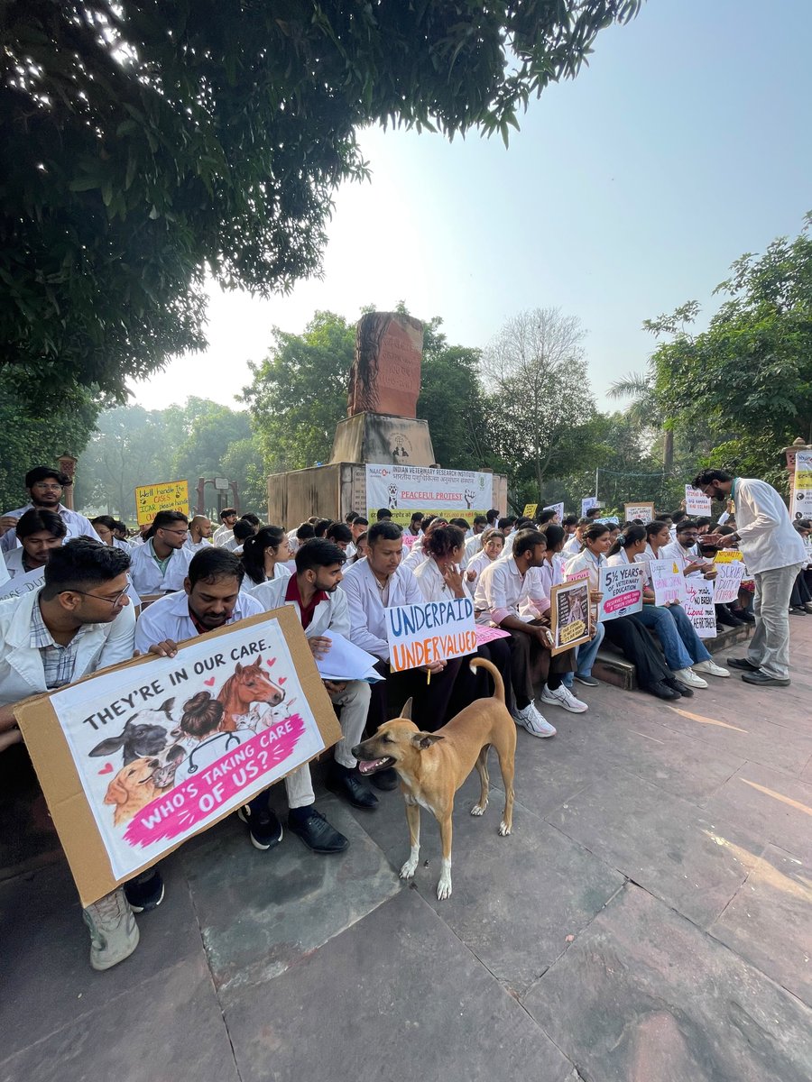 SunilMe25758177's tweet photo. Day -2 

Still standing
Still protesting 

We want fair stipend. 

#IVRIINTERNSTIPEND 

@icarindia @ivri_1889 @ChouhanShivraj https://t.co/FH2qM7nBE6