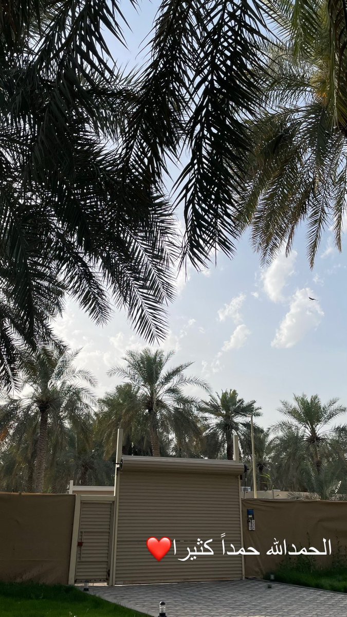 a8sa8_'s tweet photo. - صباحات سعيدة⛅️🌴🦋✨ - https://t.co/AvRCeKuh3e