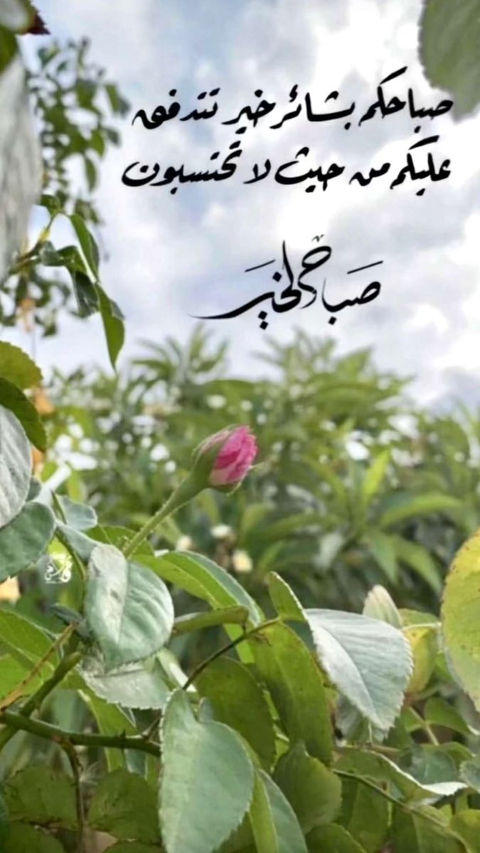 Bipolar_17's tweet photo. #صباح_الخيـر https://t.co/TEv0UkMlrd