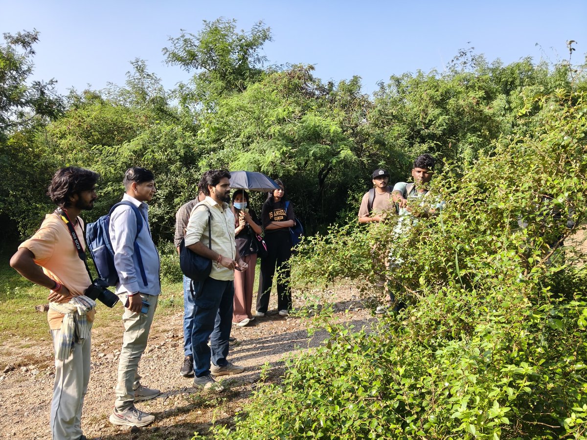 mnctindia's tweet photo. Butterfly Walk at Ratnagiri Foothills Rajgir, Nalanda. 

As part of Big Butterfly Month 2026,  MNCT organised a Butterfly Walk at Ratnagiri Hill, Rajgir, Nalanda. The programme focused on butterfly identification, behaviour, host and nectar plants, plant–butterfly interactions. https://t.co/quz8ThXwez