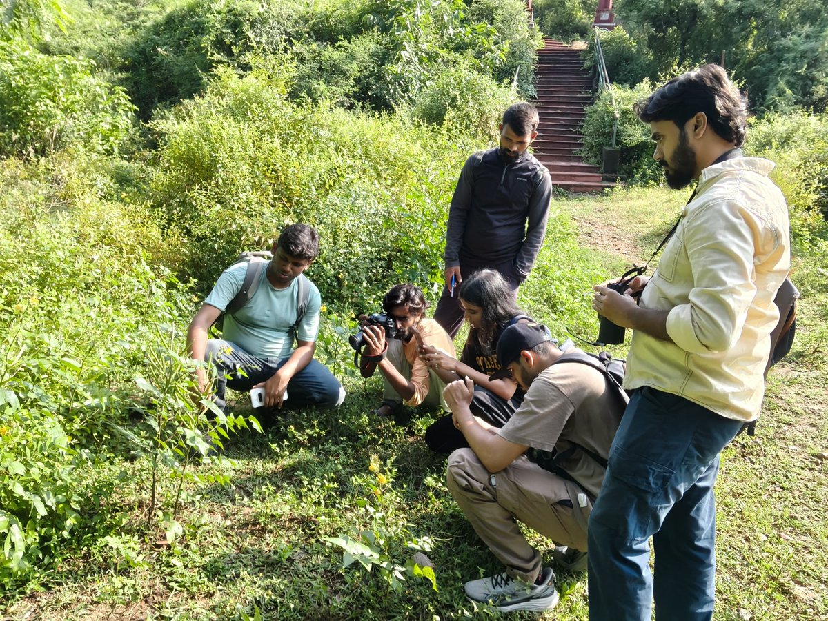 mnctindia's tweet photo. Butterfly Walk at Ratnagiri Foothills Rajgir, Nalanda. 

As part of Big Butterfly Month 2026,  MNCT organised a Butterfly Walk at Ratnagiri Hill, Rajgir, Nalanda. The programme focused on butterfly identification, behaviour, host and nectar plants, plant–butterfly interactions. https://t.co/quz8ThXwez