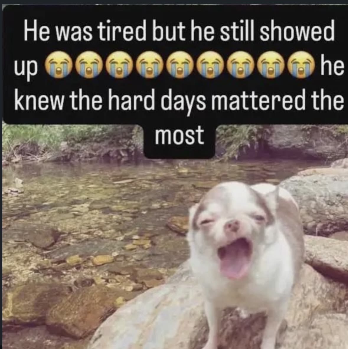 0202thinker's tweet photo. tweeting on here sometimes feels like this but many have suffered to spread their own gospel so here I am https://t.co/EL6vkzFzK6