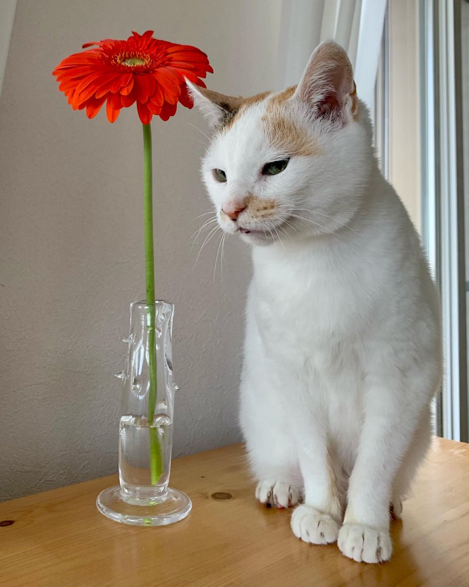 LuigiNeidegve's tweet photo. existential dread hits different when you realize you lack the refined taste to appreciate whatever pretentious nonsense is happening here. https://t.co/15YbN7bj2y