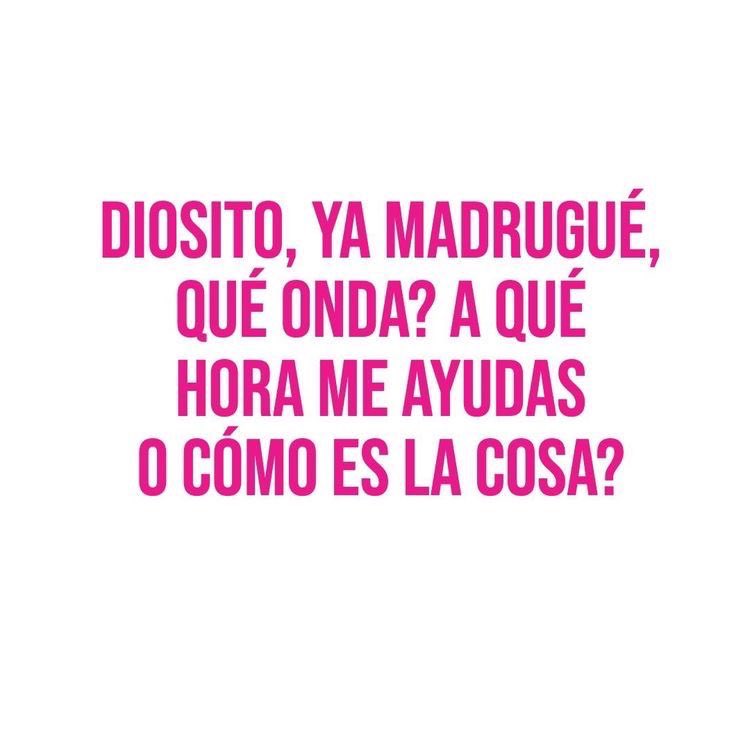 IselAtThEMDLL's tweet photo. Tu di rana y yo salto 🙏🏼 https://t.co/UgSr4tdp45