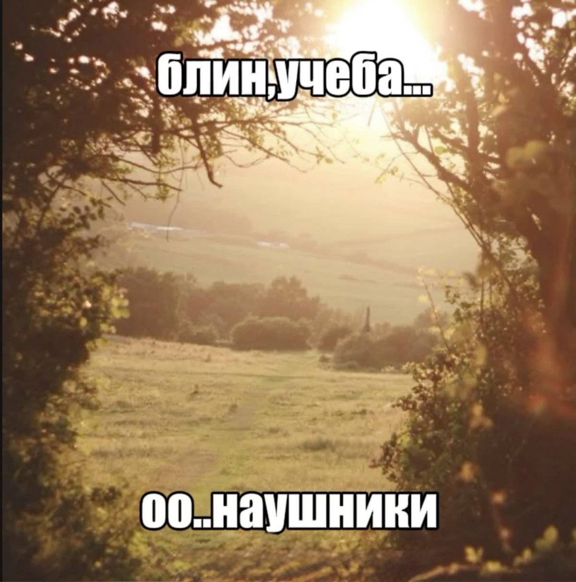 its_tailight's tweet photo. Хоть что-то спасает от бесконечной учебы https://t.co/tliNe7YnBW