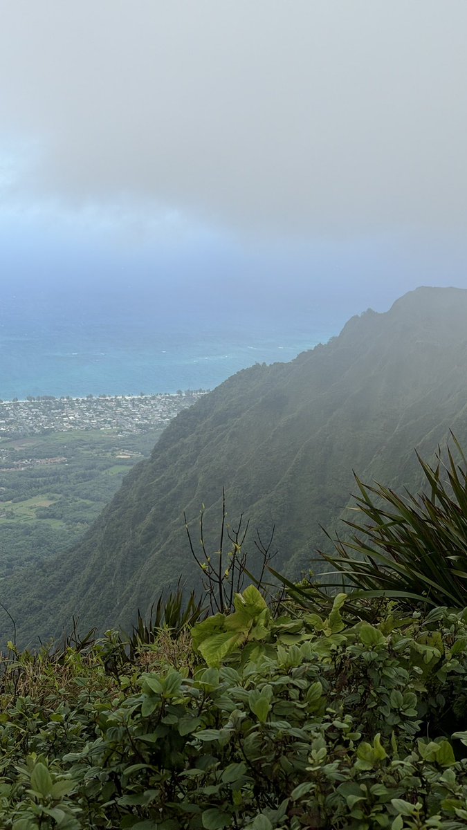 JoshShumanHI's tweet photo. Up mauka https://t.co/RXyiWzM9kI