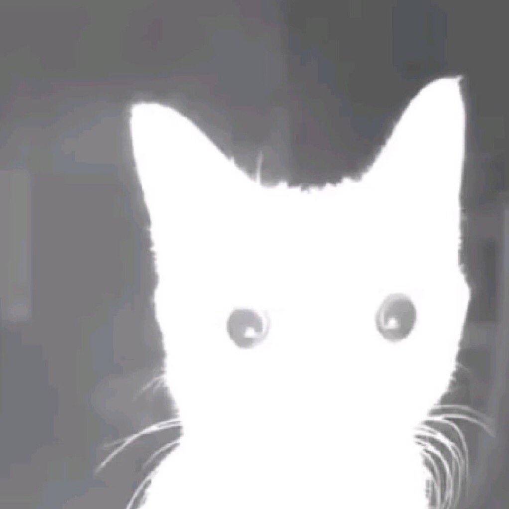 ch0qu3m0s's tweet photo. si tienen media horita al pedo MIREN EL PILOTO DE ELECTRO ANDES está en youtube y mas allá de q es animación nacional y hay q bancar, ESTÁ TREMENDO !! hasta se me cayó una lagrimita, estábamos todos pegados a la tele así https://t.co/Z0PscHVPiN