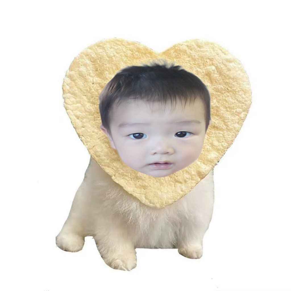 luvjinjusc's tweet photo. 소형견 https://t.co/okh4AgqUJy
