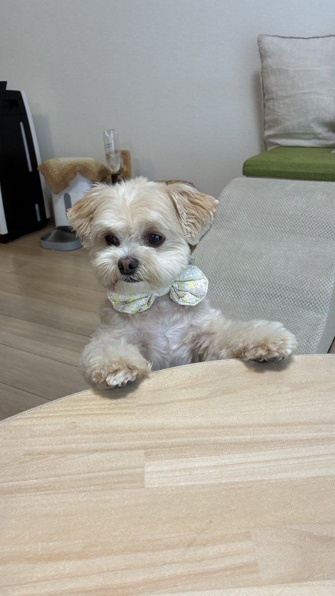 MONKEYWOOOOO's tweet photo. それ  くれるのか？

くれなかった https://t.co/ycv8URP3Va