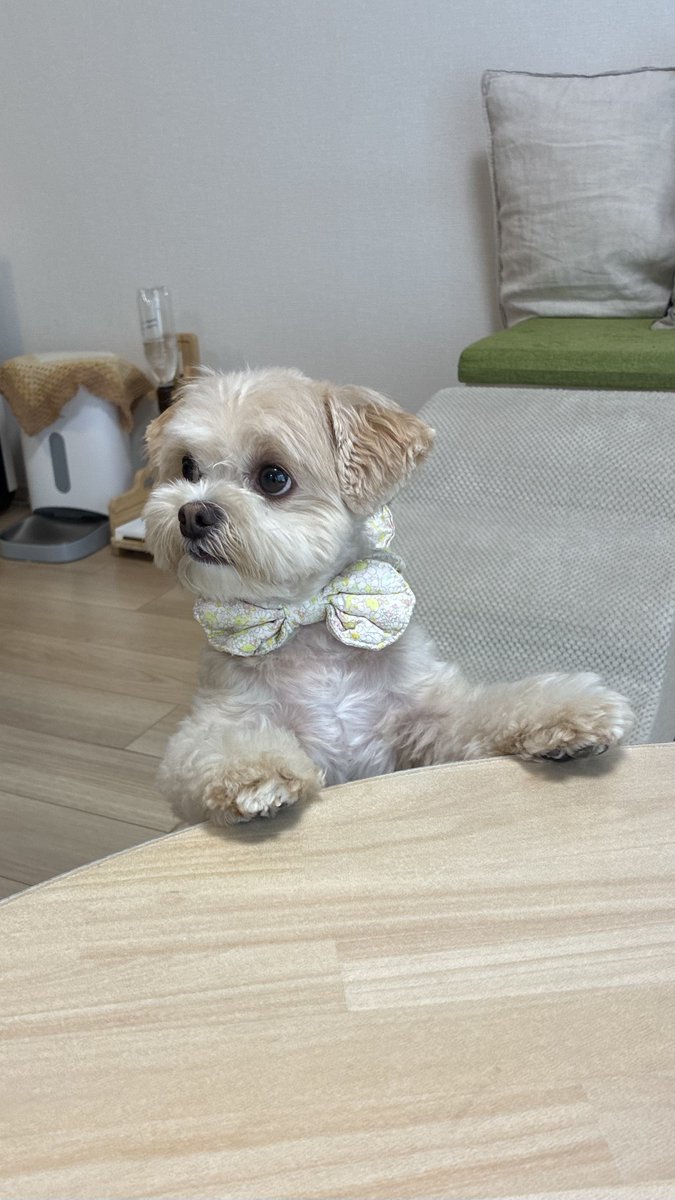 MONKEYWOOOOO's tweet photo. それ  くれるのか？

くれなかった https://t.co/ycv8URP3Va