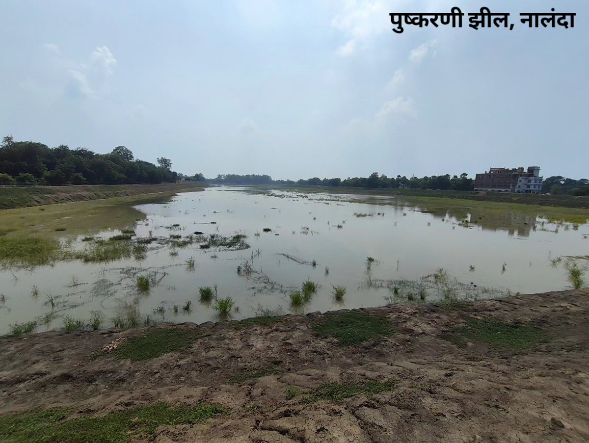mnctindia's tweet photo. माननीय मुख्यमंत्री @samrat4bjp जी और माननीय पर्यटन मंत्री @kedarguptain जी से विनम्र निवेदन है, कृप्या पुष्करणी झील, नालंदा में मोटर चालित नौका विहार को रोकने पर विचार करें। यह महत्वपूर्ण वेटलैंड प्रवासी पक्षियों के साथ-साथ हजारों स्थानीय पक्षियों का भी आवास रहा है।@BiharCMQRT https://t.co/Wb4bKrbmLm