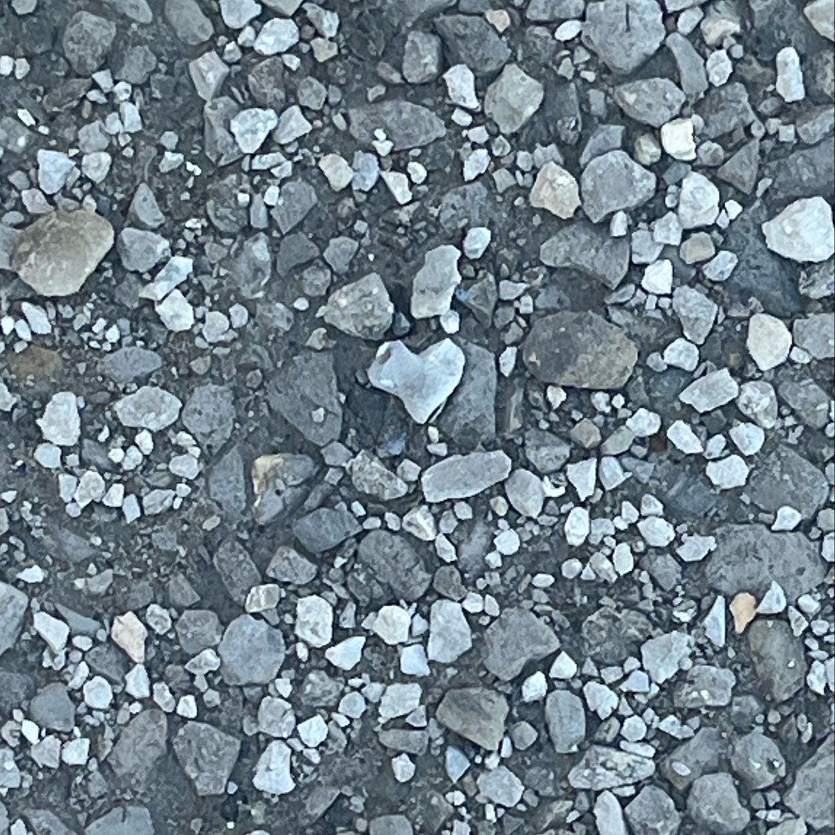 crittercrumb's tweet photo. sometimes i enjoy taking pictures of things that make me smile, for example: rock shaped like a heart https://t.co/SalVCLKDvy