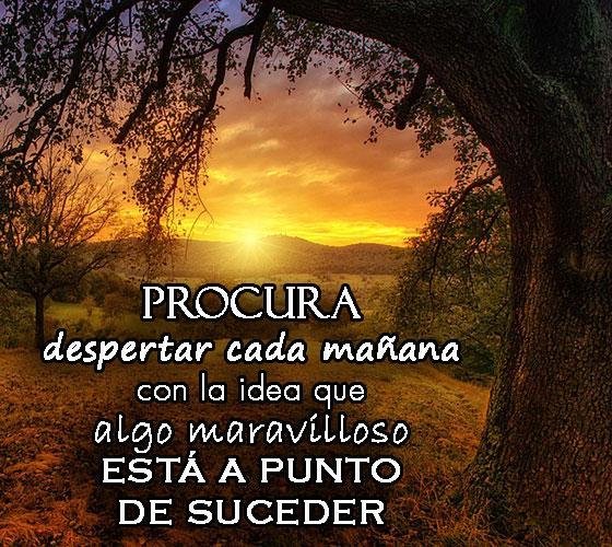 FelipeLoSeMa's tweet photo. Buuuueeeenooooss diiiaaasss, vamos a por el martes con una gran sonrisa y motivación a topeee. Recuerda que hoy será un gran día para conseguir lo que te propongas 💪☕😊 #disfruta #atopeee #energíapositiva #motivacion #sefeliz #BuenosDiasATodos https://t.co/l4Njuyi9f1