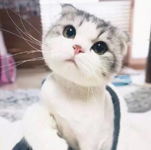 kocakyasar's tweet photo. 菜畦 附带 直快 管控 https://t.co/dM0o00vLbI