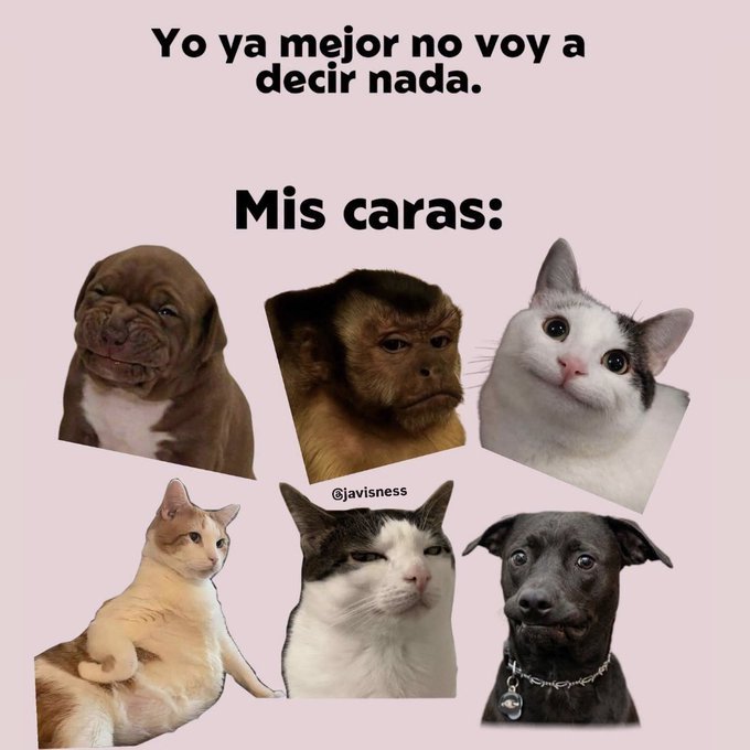 CarmenPerefl's tweet photo. https://t.co/xfPeaNK1Yh