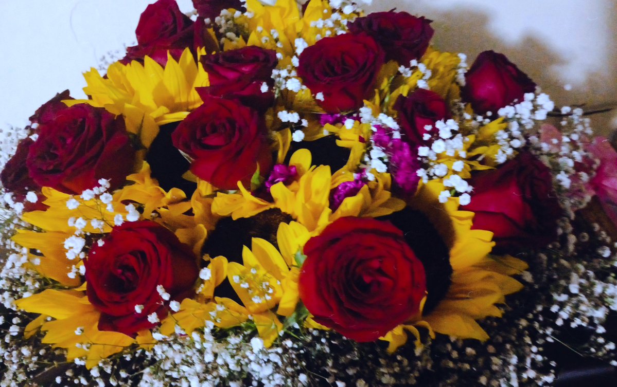 vampichel's tweet photo. AMO MUXHOTE LAS FLOREEEEEES <3 https://t.co/LR28WLzn54