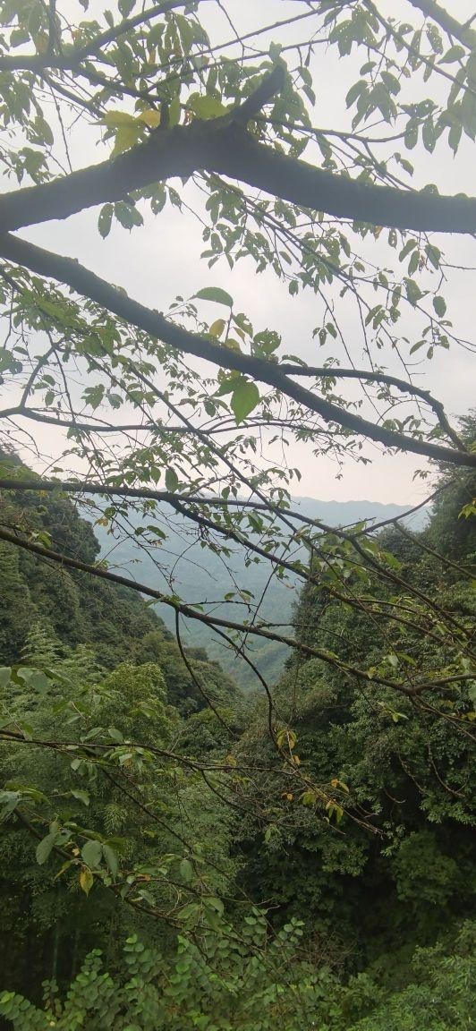 TraceFable2cur's tweet photo. Chased the mountain trail, heard the roar of the waterfall, a kind stranger shared local tips—what a lucky rescue from getting lost! https://t.co/E5OJFgqWOR