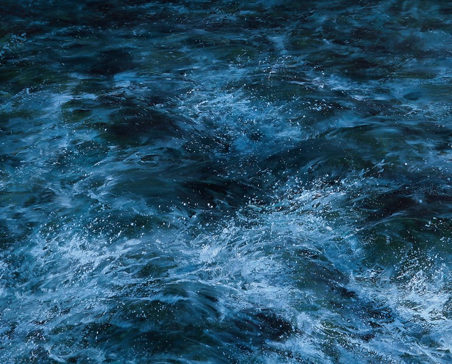 AnthonyCaruhoa's tweet photo. “The waves roar blue, mane changes, blessing’s here — a vibe of momentum and warmth that hits different! ”， https://t.co/odFoQGDjgz