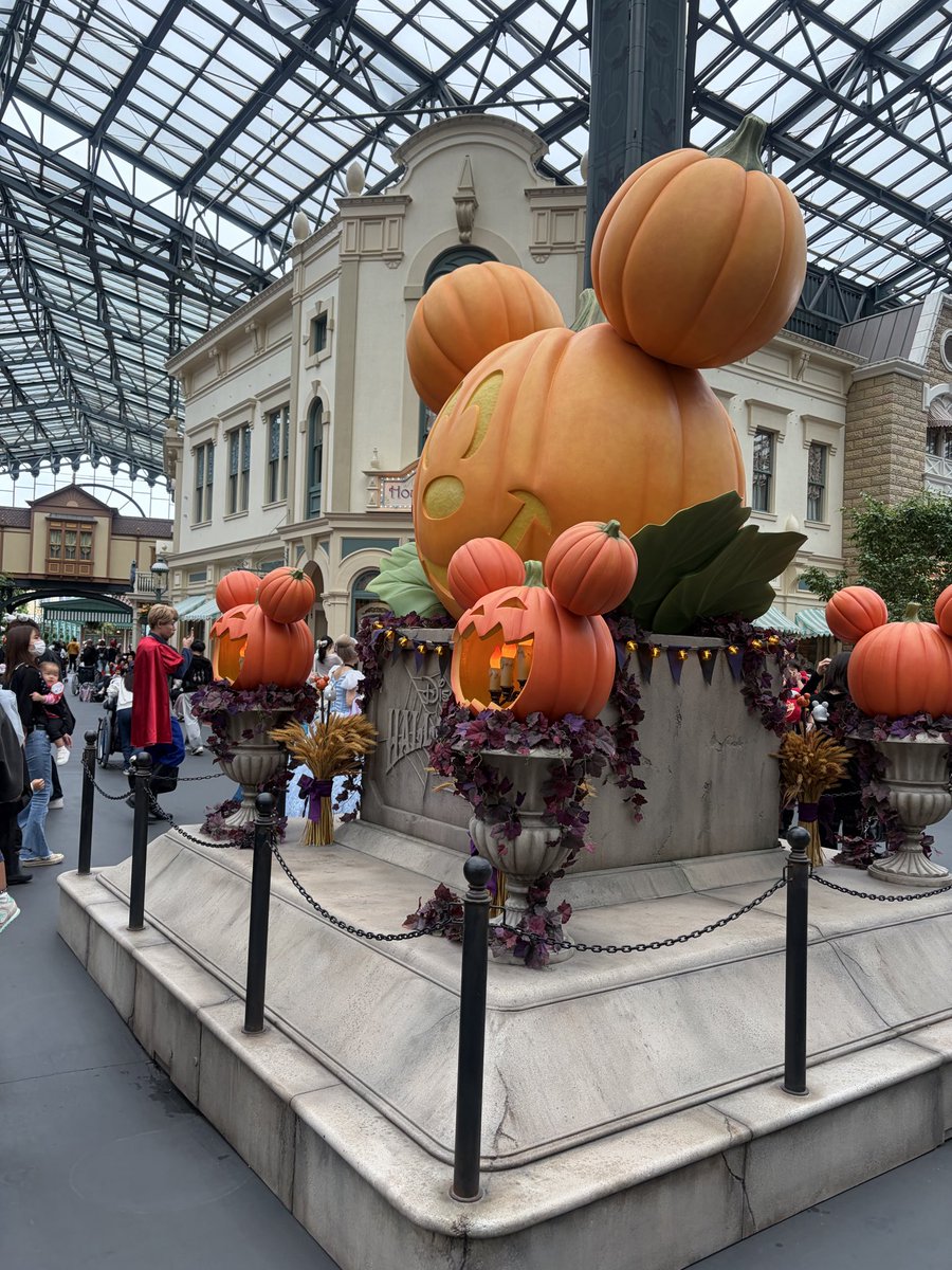 www_seeeera's tweet photo. 久々東京🗼ホテルも最高すぎた https://t.co/i6FC7ZzFon