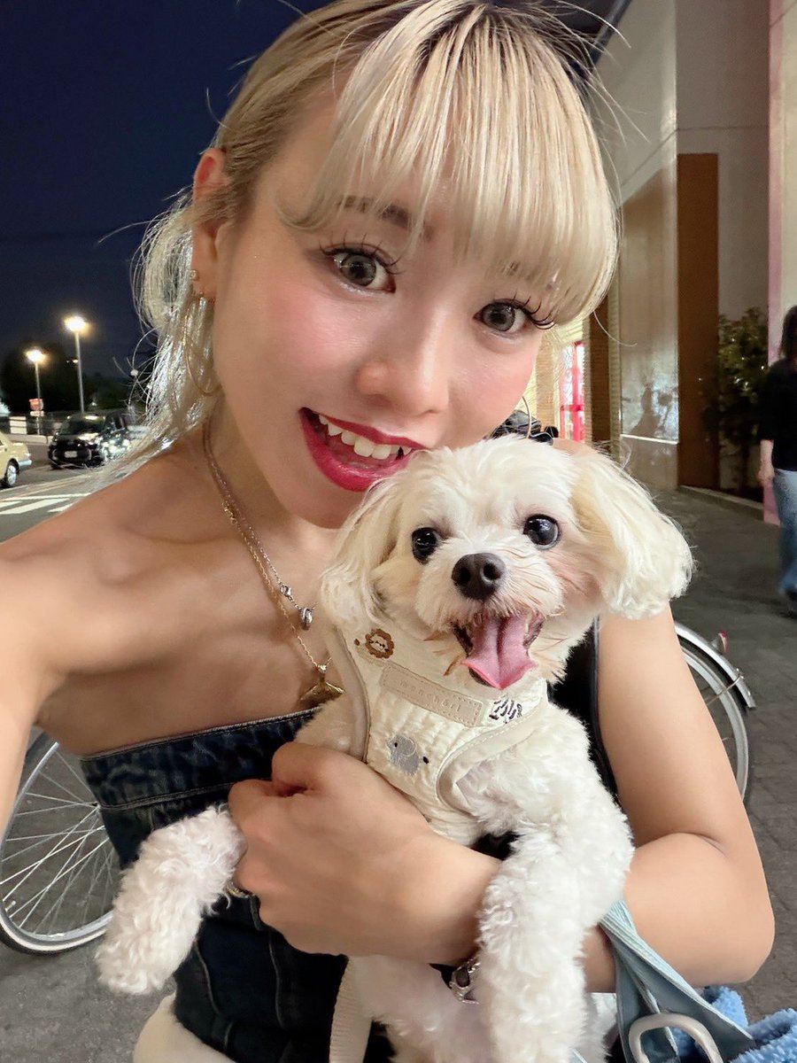 wolga_wolmee's tweet photo. こんにちは！#MIKI です🌺

大切な家族、オルくん🐶
どこへ行くにも2人でお出かけしています🤝♥️

今週末はアウェイ戦🔥
みんなで心をひとつに応援しましょう🙌✨

#ウォルガ湘南 #WOLMEE https://t.co/s9ObryPoTM