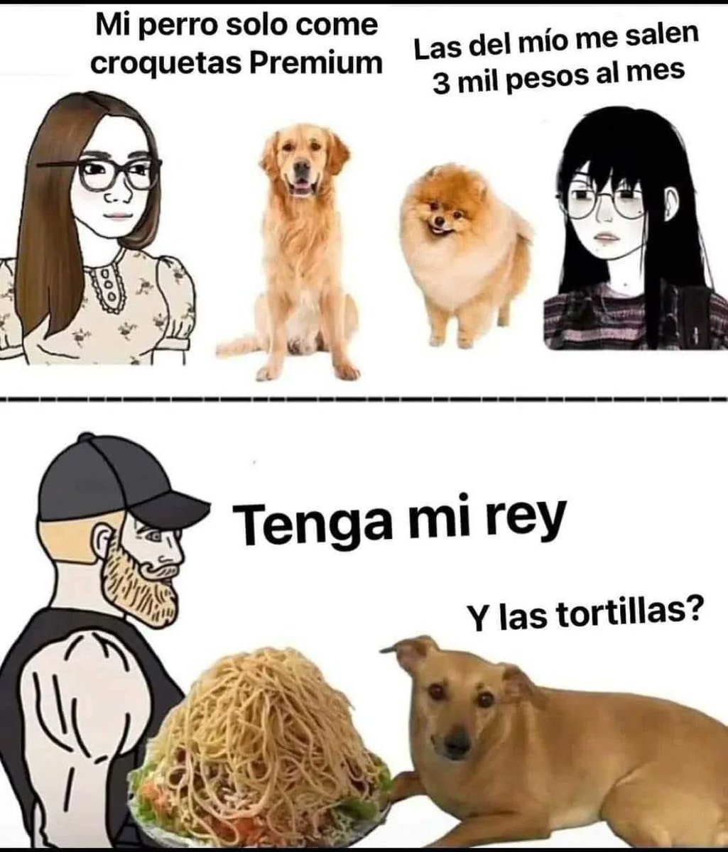 Danyboy_126's tweet photo. las pivas bersus lo pijes carita fachera facherita😎 https://t.co/A9ow7sZUoL