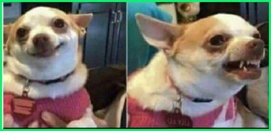 Fennix73's tweet photo. La Silla Vacía:

Perfilando // Cuando la perfilan https://t.co/gw2KfYpJh0