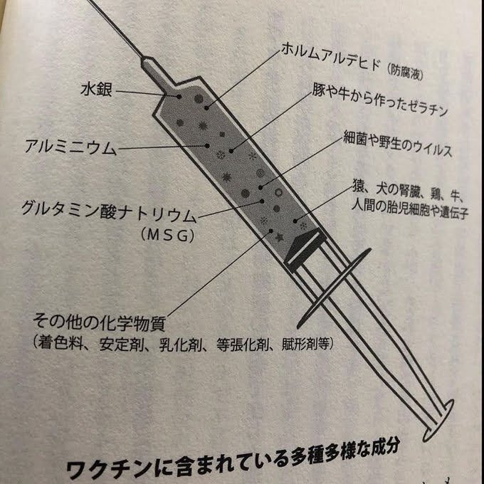 vuvwww's tweet photo. ワクチンの中身 https://t.co/UJysZLd03I