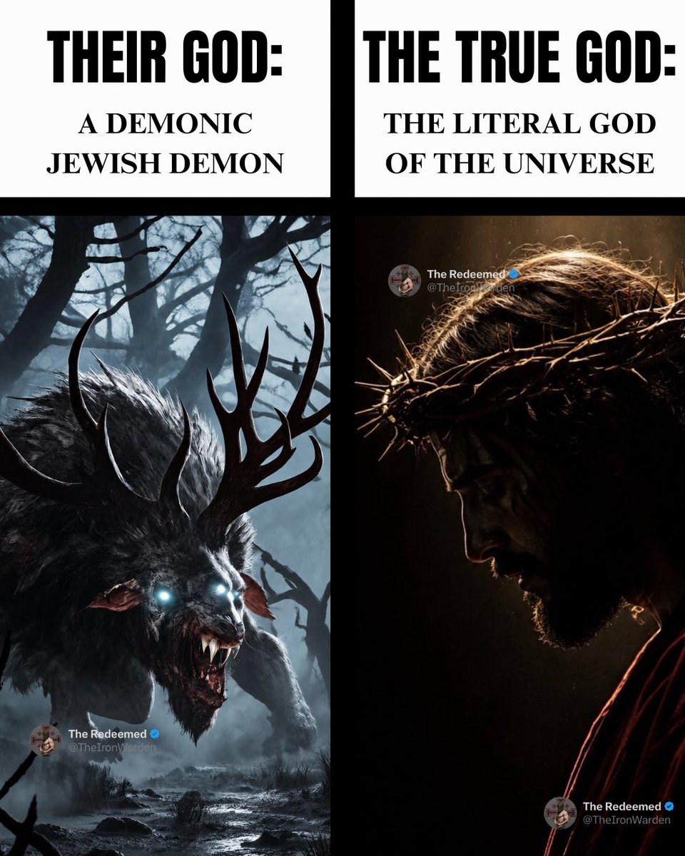 TheIronWarden2's tweet photo. ⛨ Christ Is King ⛨ https://t.co/LgJ7inwCMk