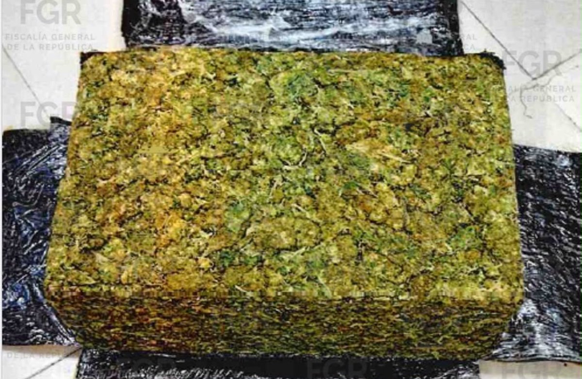 e_consulta's tweet photo. Miguel N. fue sentenciado a cuatro años de prisión tras haber sido detenido con más de 50 kilos de marihuana que transportaba dentro de sus maletas en la Central de Autobuses de Puebla (CAPU). La Fiscalía General de la República informó que, además, se le impuso una multa de 8 mil 685 pesos.
@KRSantoyo