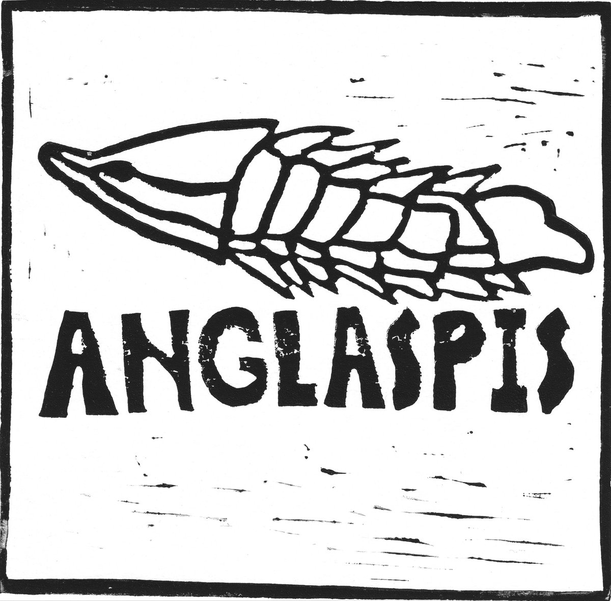 Anglaspis tweet picture