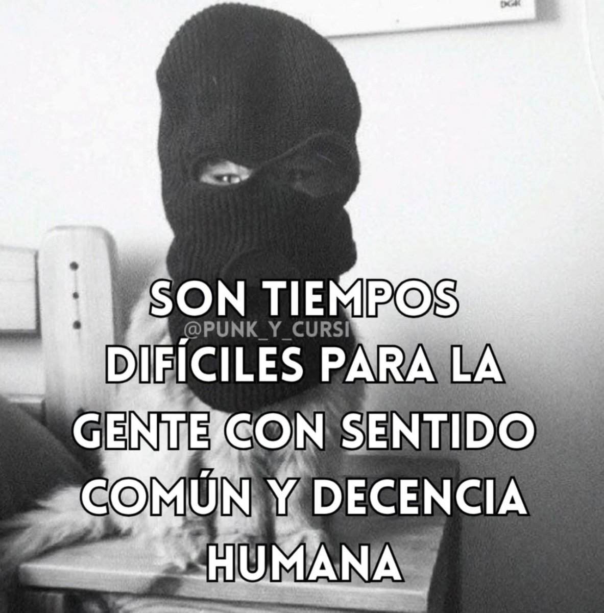 PelosNecioz's tweet photo. Son tiempos difíciles

- @punk_y_cursi https://t.co/6t9ScNyqtA