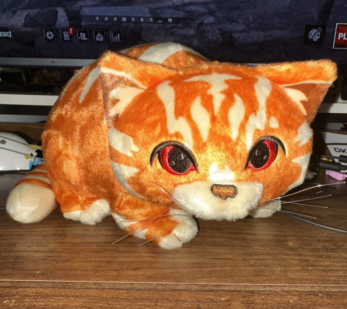 sIowdragon's tweet photo. Hey @PIntroverts, look who arrived today! Just in time for spooky season ⚰️💗 https://t.co/UViPRtdsjW