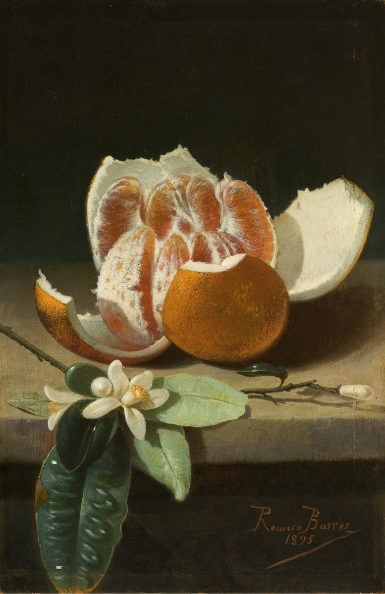 DailyClassicArt's tweet photo. Rafael Romero Barros - "Naranja abierta y azahar" (1895) https://t.co/w9Jpdk1fnG