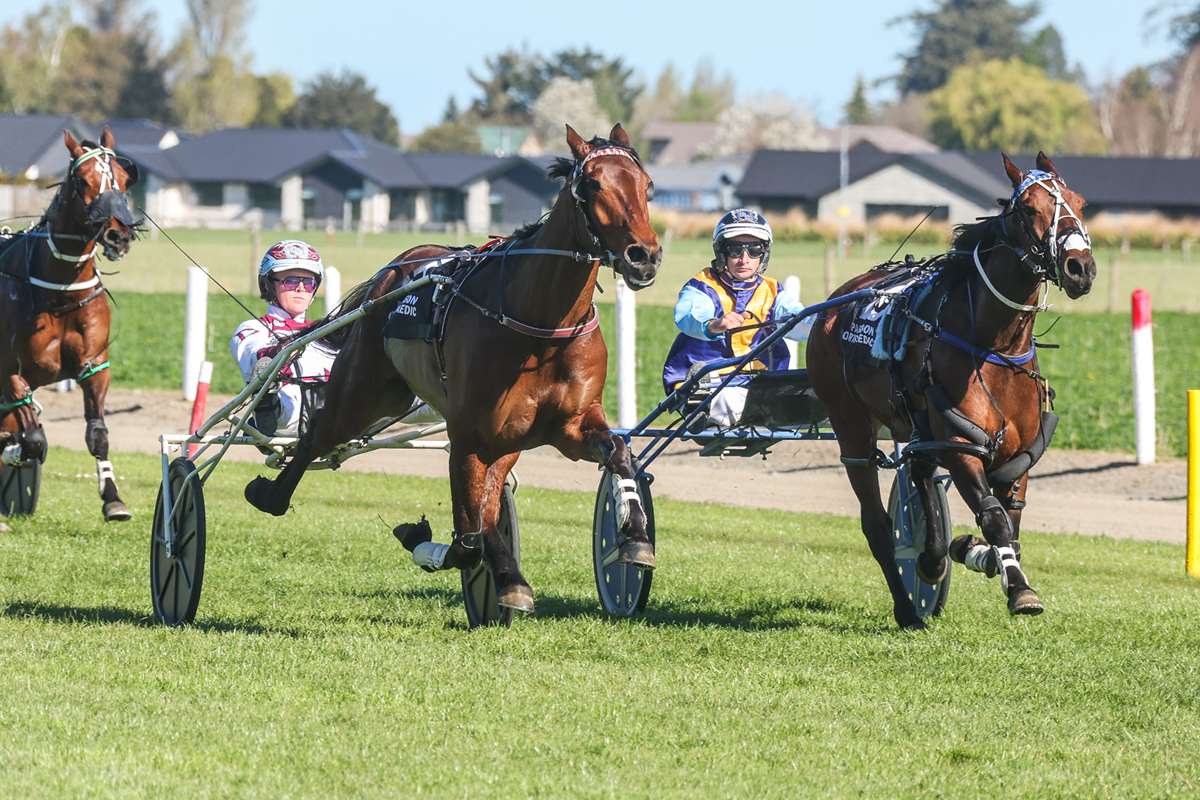 nzbstandardbred's tweet photo. Franco Sinatra Continues Purple Patch Of Form

#FrancoSinatra (NZ) (Captaintreacherous) continued his impressive run of form when taking out the Group Three Alabar Methven Cup (3000m) on Sunday.🏆

“He keeps improving and he’s even surprised us,” he said. “Yesterday (Sunday) was a good test over the 3000m on the grass. He’s standing to attention now.”

The Group Two Canterbury Classic (2600m) now awaits Franco Sinatra before his New Zealand Trotting Cup tilt.

He was offered through Spreydon Lodge’s 2021 NZB Standardbred National Yearling Sale draft at Christchurch where he was bought by his trainers for $55,000.🤝

Read more here 📰:
https://t.co/Dt40lGgoIo