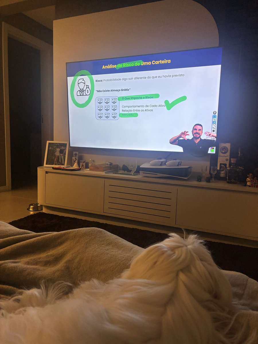 capiiiitu's tweet photo. maltês aprendendo a balancear os riscos de uma carteira https://t.co/slxrQwrk4u
