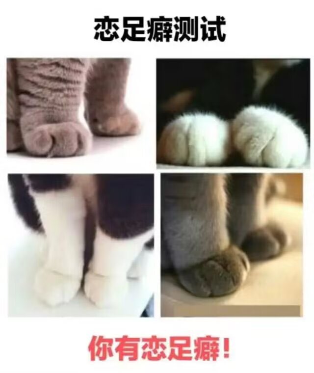 Lalalalaluk's tweet photo. 你有恋足癖！！ https://t.co/SmnjVzxLIf