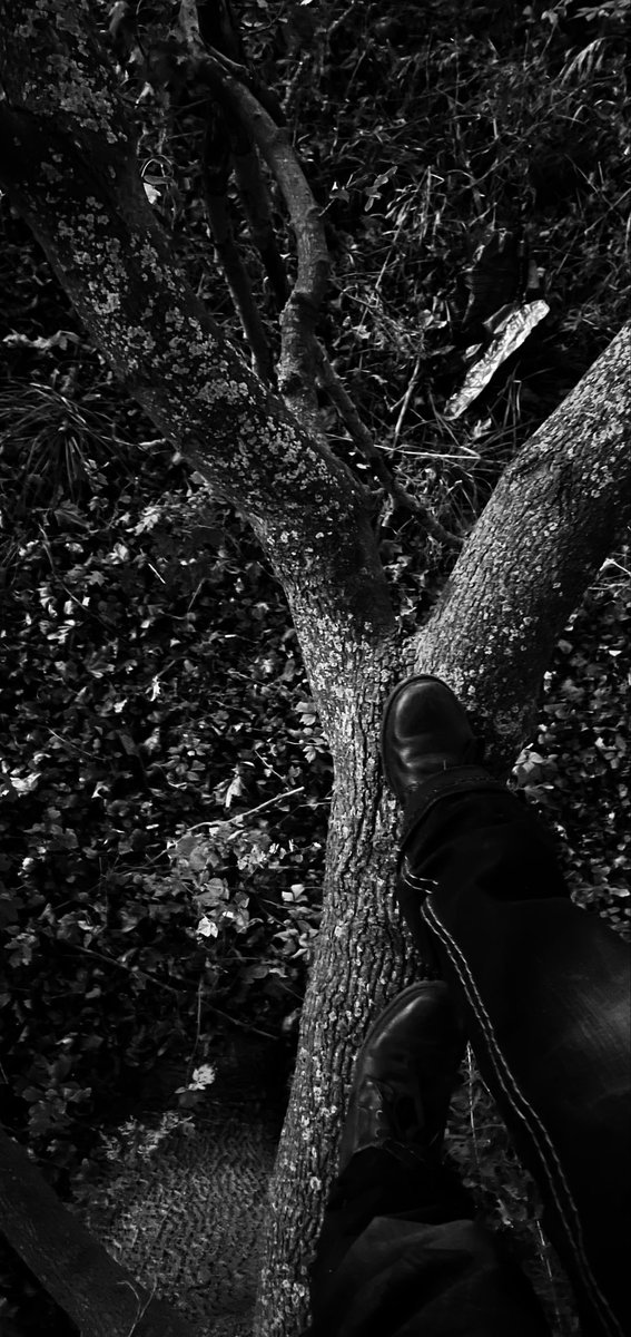 XxAngelchildxX's tweet photo. Yaahooo!! 22k! Guess what.. I went in a tree :3 #wl #edtwt #shed https://t.co/PvkPQtyOLp