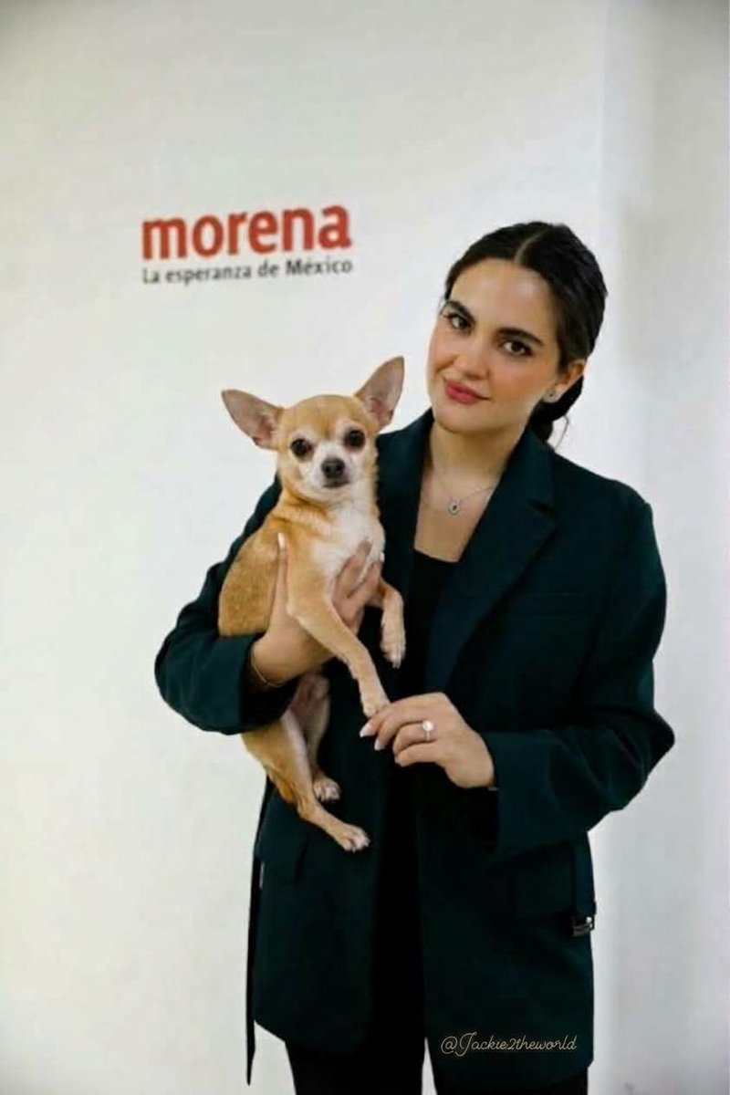 Jackie2theworld's tweet photo. Éste será el único “Chihuahua” que 
tendrá Andrea Chávez… 👇👇😅🤣 https://t.co/hRP2j1GNH8