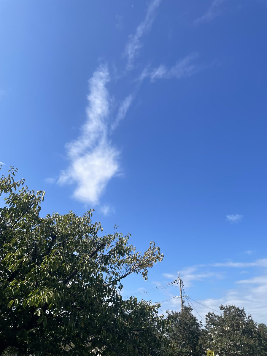 fluff_0802's tweet photo. おはようございます☀
昨日は1日雨でしたが晴れていいお天気になりましたねー！ https://t.co/dleeeQt2Kj