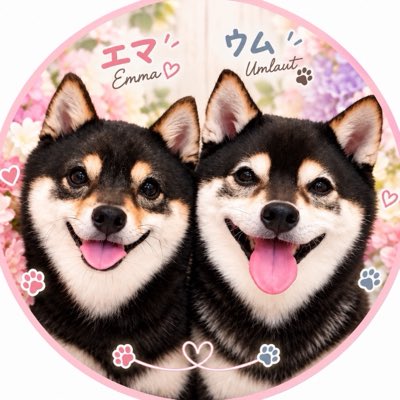umem_emum's tweet photo. #新しいプロフィール��像 https://t.co/AzfT5HILUW