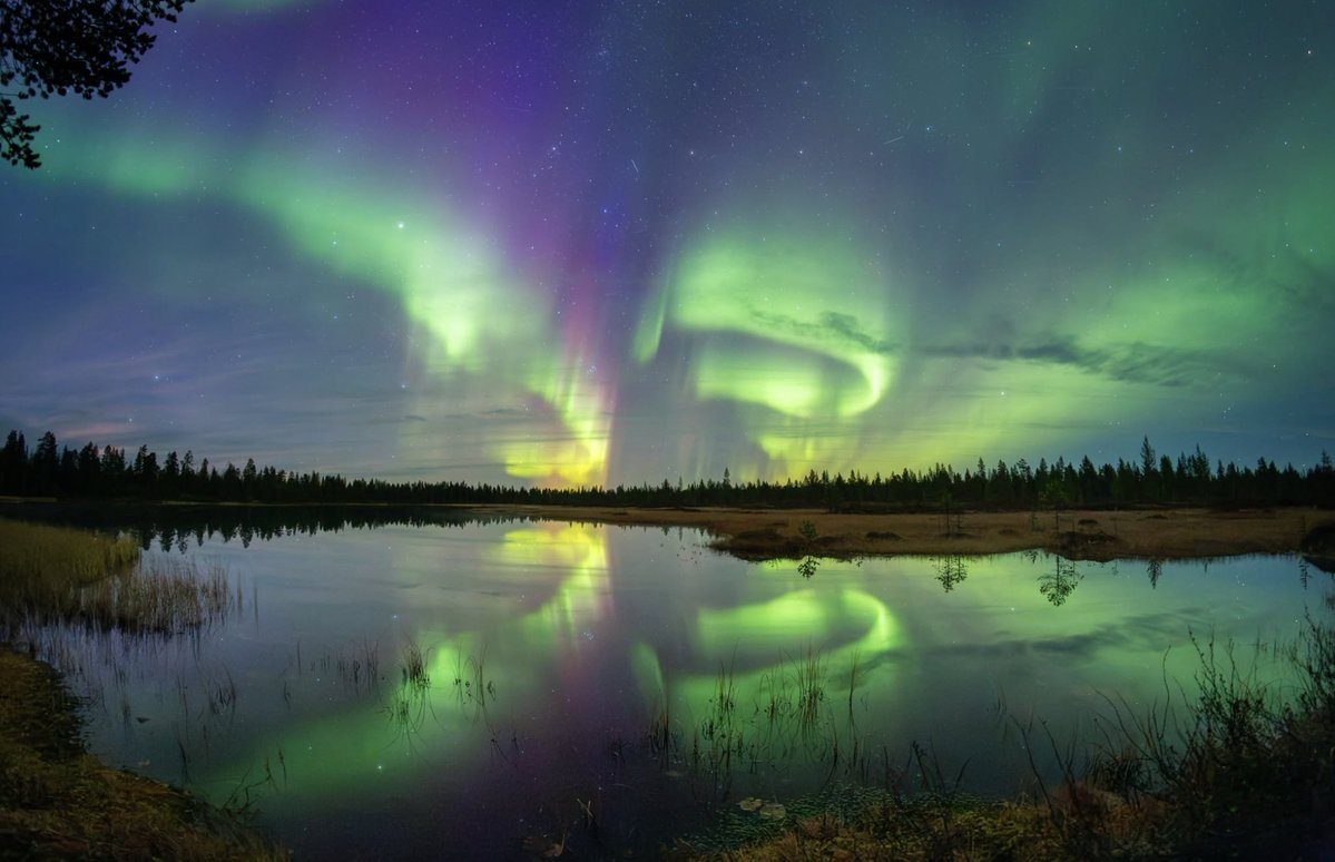 SpaceSkiesEarth's tweet photo. #auroranotify, #astronomy, #nightphotography #aurorahunting, #arcticcircle, #lapland, #norway, #iceland #northernlights, #auroraborealis, #aurora, #borealis 
@nasaearth @nasa @nasauniverse https://t.co/67hra6Px9J