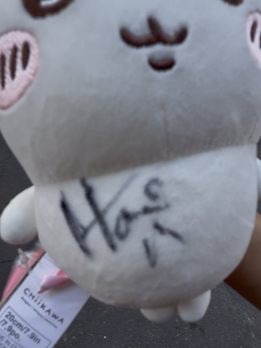 kittyycity's tweet photo. HORMIGA FIRMADO A CHIIKAWA 🤏🏼😭😭 https://t.co/VoyNZ7d57B