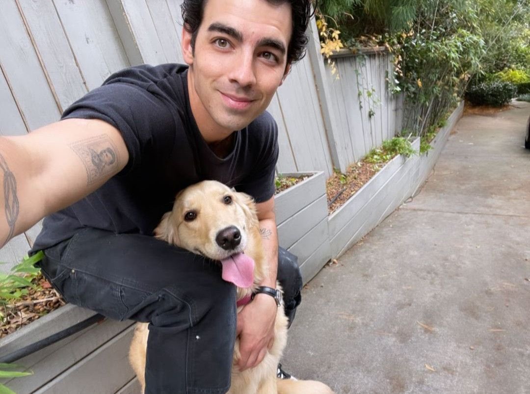 finallyimfound7's tweet photo. Nothing can separate Joe and Penelope https://t.co/X1kflwsjj9