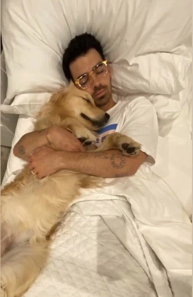 finallyimfound7's tweet photo. Nothing can separate Joe and Penelope https://t.co/X1kflwsjj9