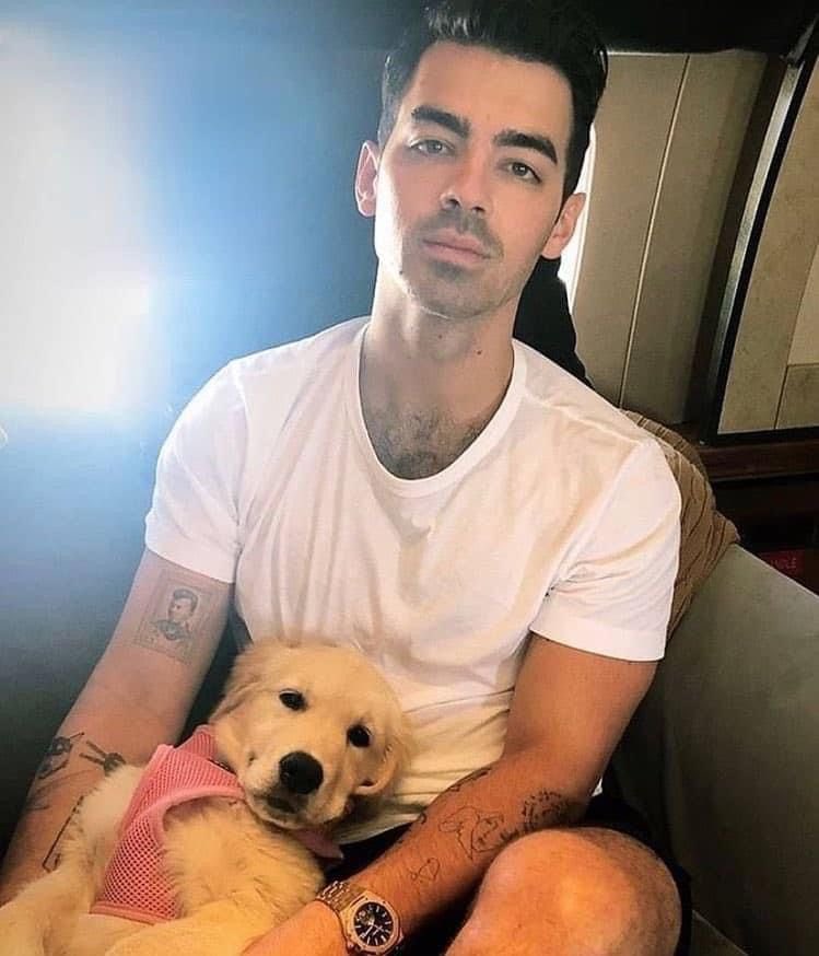 finallyimfound7's tweet photo. Nothing can separate Joe and Penelope https://t.co/X1kflwsjj9