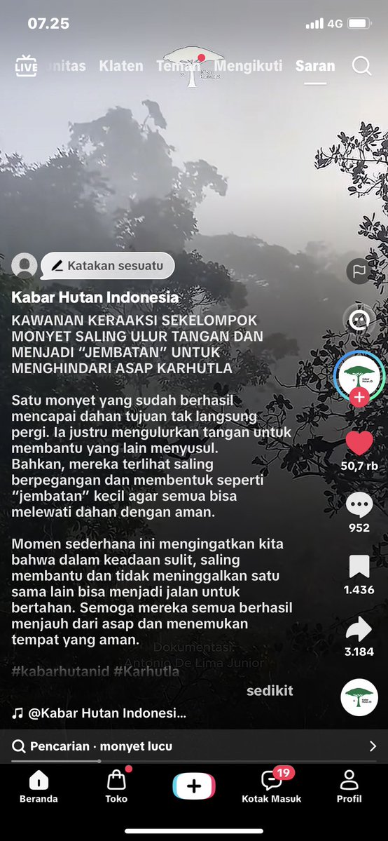 jenostalker's tweet photo. BERGOTONG ROYONG MELEWATI SATU DEMI SATU POHON UNTUK MENGHINDARI ASAP KARHUTLA …

Sebenarnya yang paling terdampak itu mereka 😭😭😭 rumah mereka lenyap, sumber pangan, dan bahkan nyawa mereka juga terancam. 

#PRAYFORLAMPUNG
#PRAYFORSULAWESI
#PRAYFORKALIMANTAN
#PRAYFORSUMATERA
#PRAYFORACEH
#PRAYFORNTT
#PRAYFORNTB
#PRAYFORPAPUA
#PRAYFORINDONESIA
 #AllEyesOnIndonesia